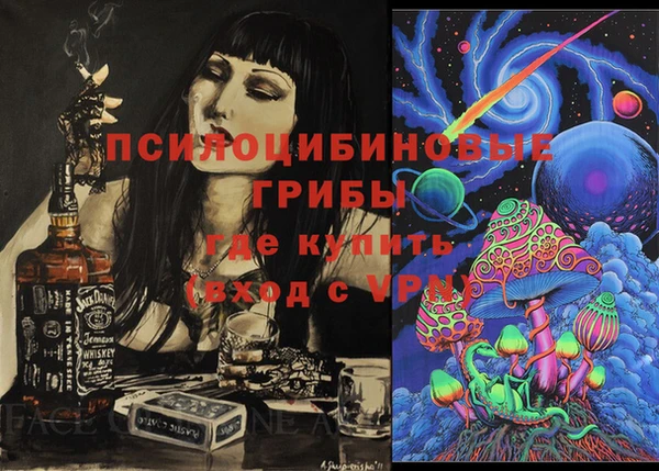 твердый Алексин