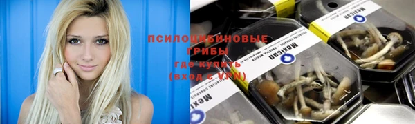 сатива Алексеевка