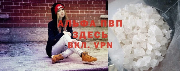 твердый Алексин